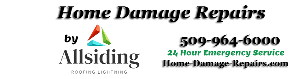 Name and Logo